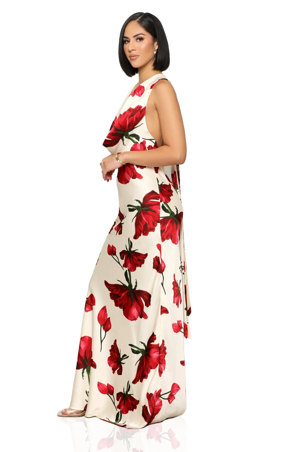 Bed Of Roses Maxi Dress (Red Multi)