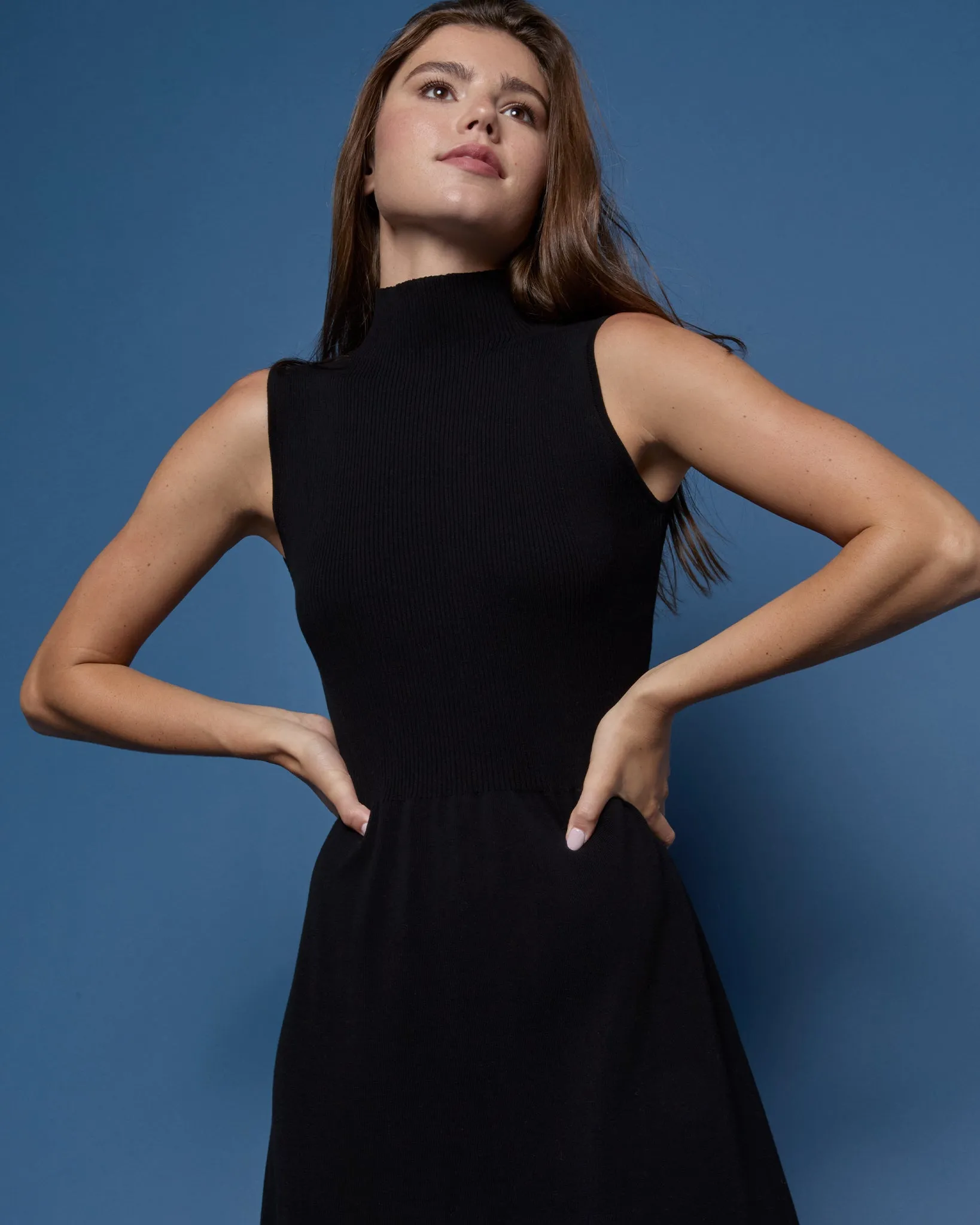 Charlotte Dress in Black Ice Cotton