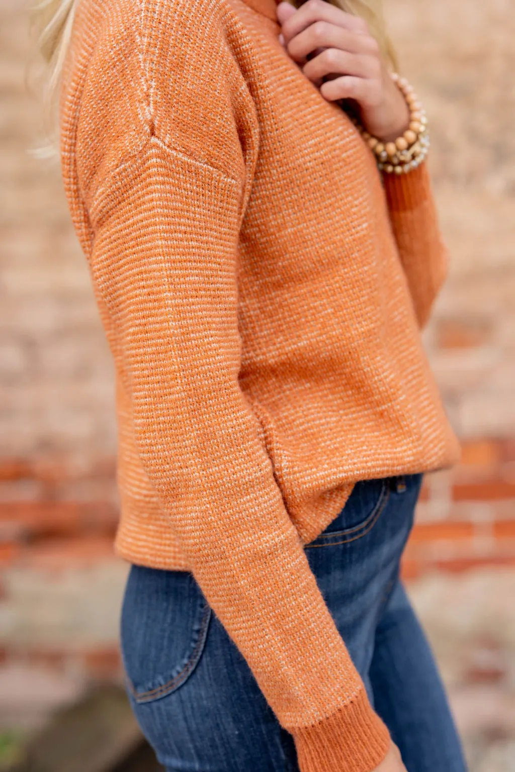 Marled Solid Trim Button Sweater