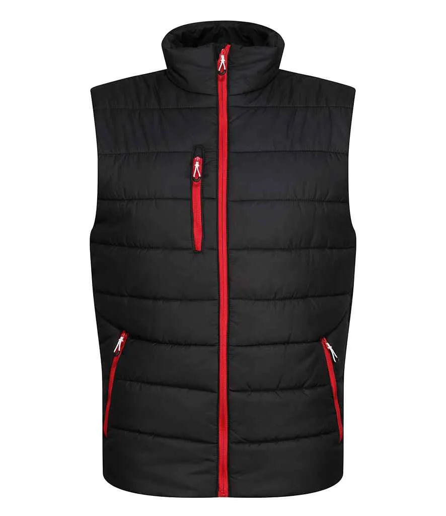 Regatta - Navigate Thermal Bodywarmer