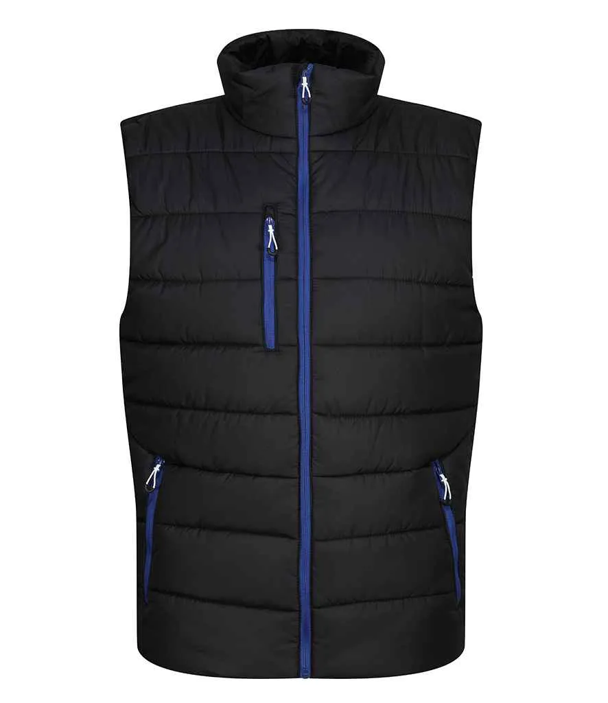 Regatta - Navigate Thermal Bodywarmer