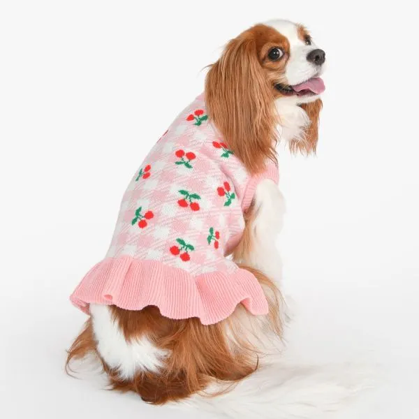 Rio Dog Sweater Dress