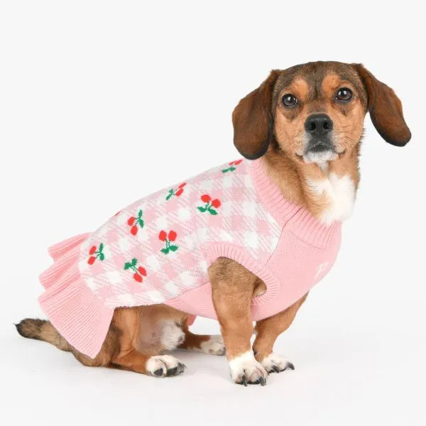 Rio Dog Sweater Dress