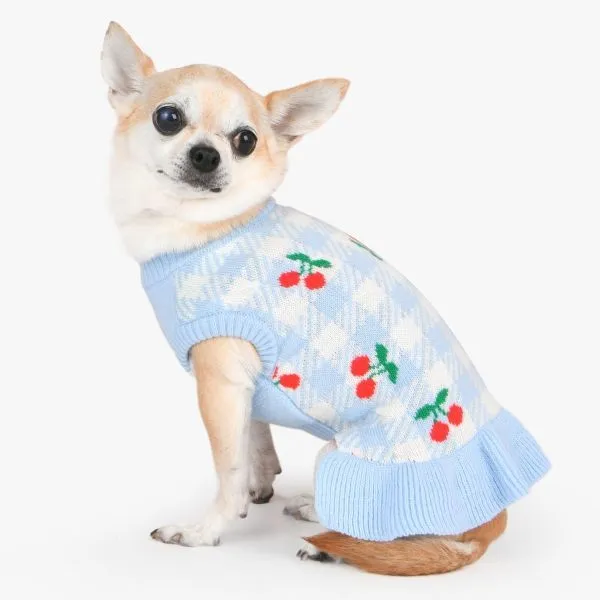 Rio Dog Sweater Dress