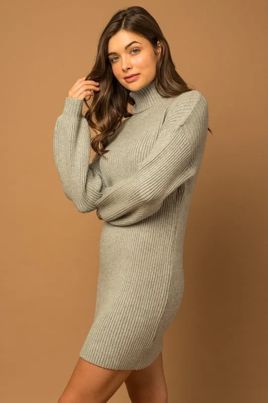 Turtle Neck Balloon Sleeve Sweater Dress