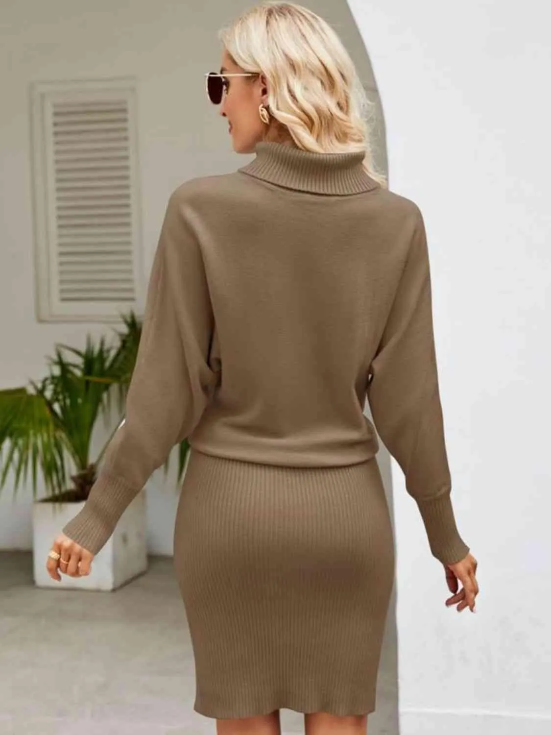 Turtleneck Long Sleeve Sweater Dress