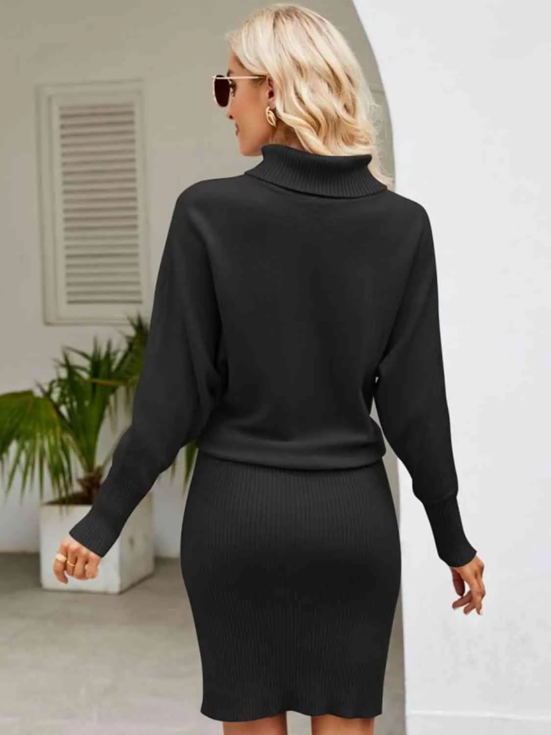 Turtleneck Long Sleeve Sweater Dress