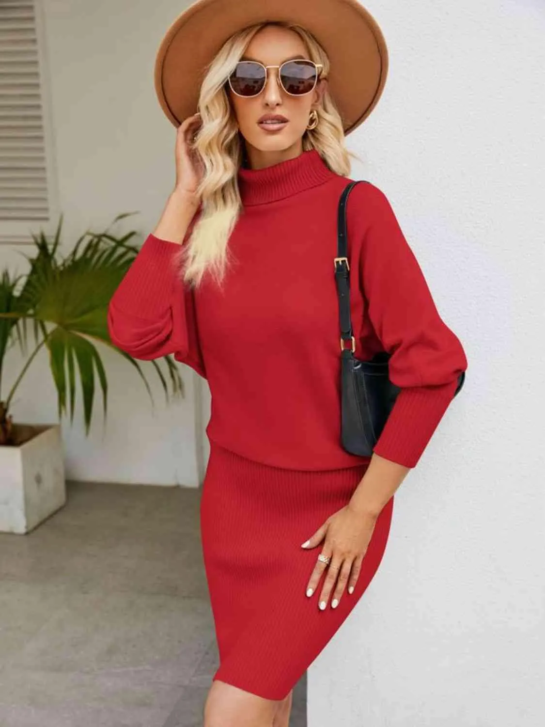 Turtleneck Long Sleeve Sweater Dress