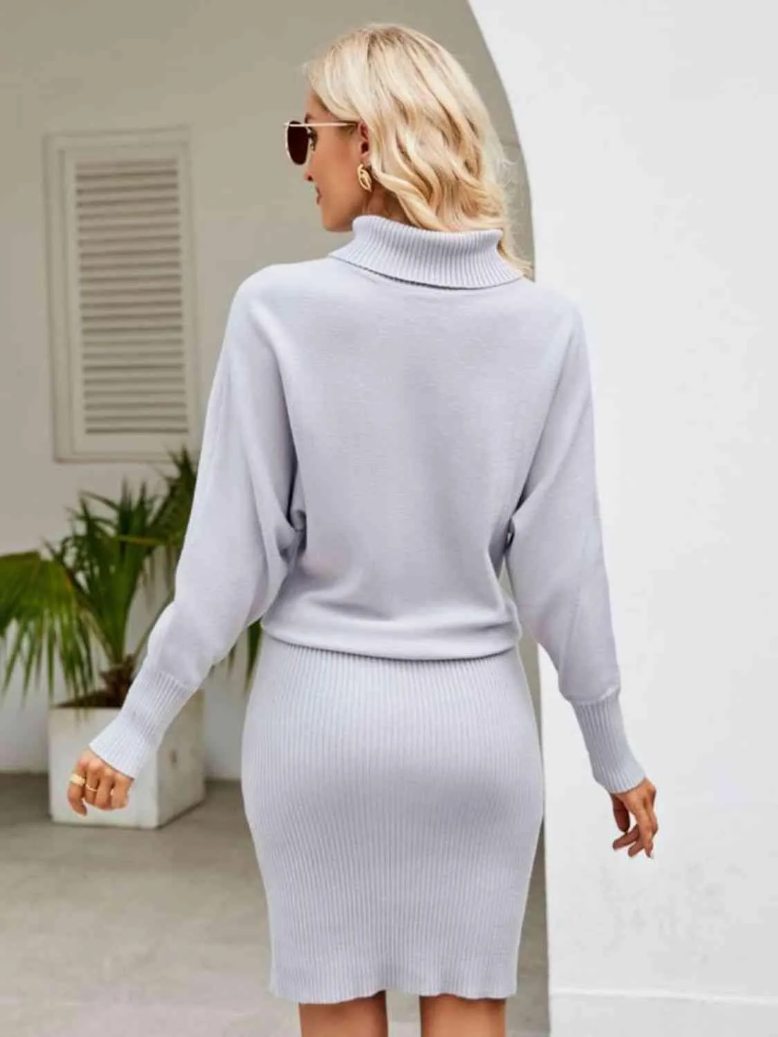 Turtleneck Long Sleeve Sweater Dress