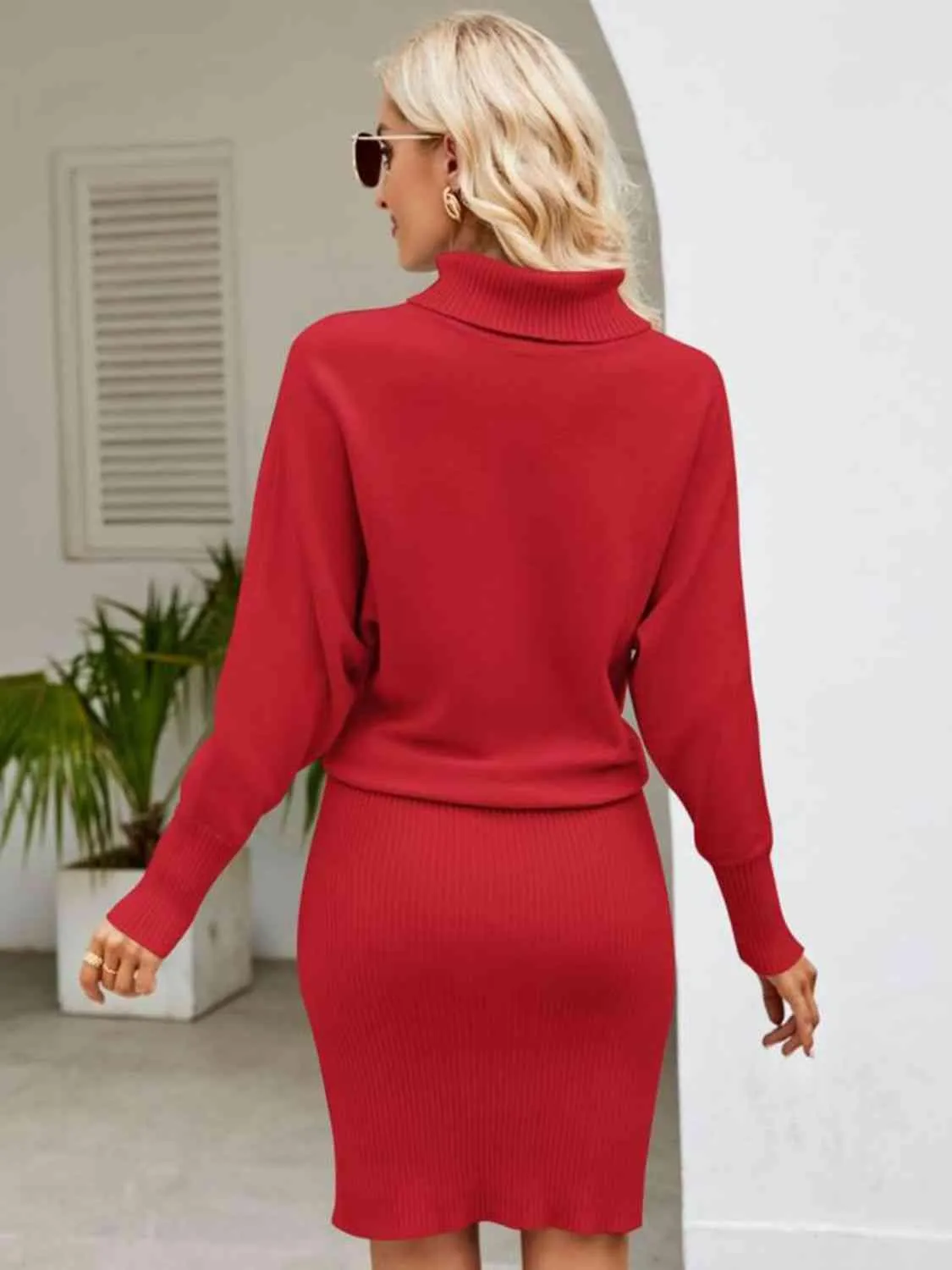 Turtleneck Long Sleeve Sweater Dress